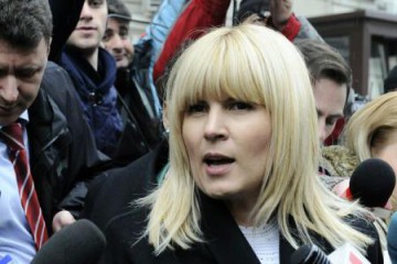 Motivare Udrea: Banii primiți ca mită, folosiți la achitarea cheltuielilor PDL, în special la Organizația București